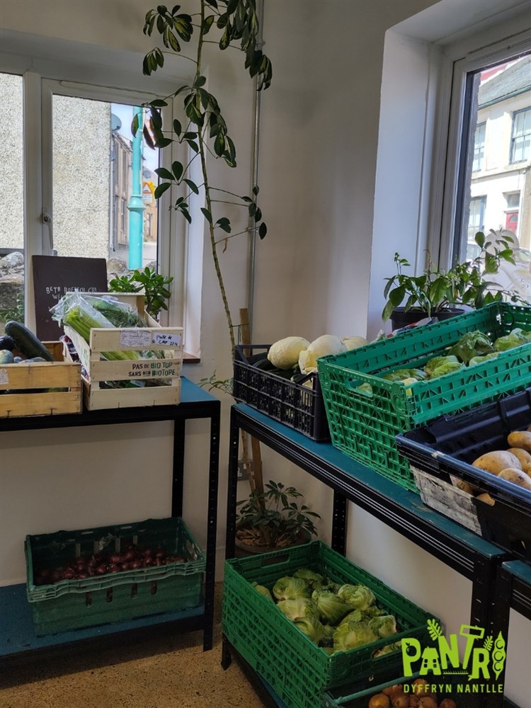 Surplus Food
